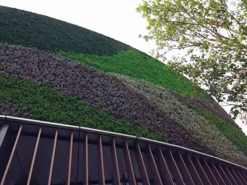 仿真植物墙