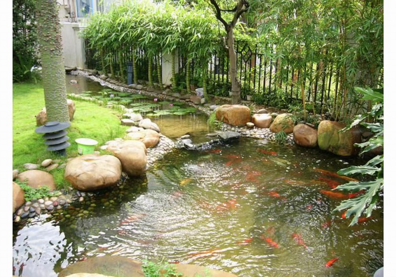 假山鱼池