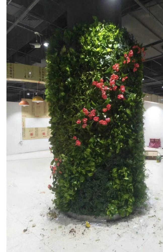 室内植物墙