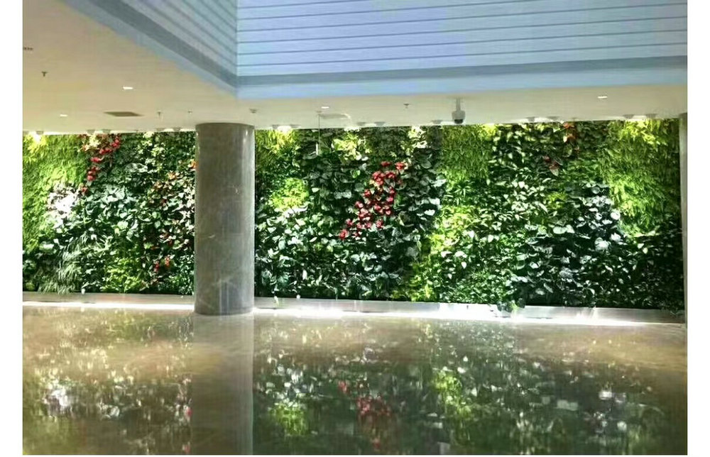 室内植物墙