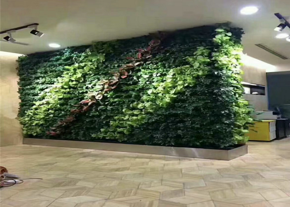 室内植物墙