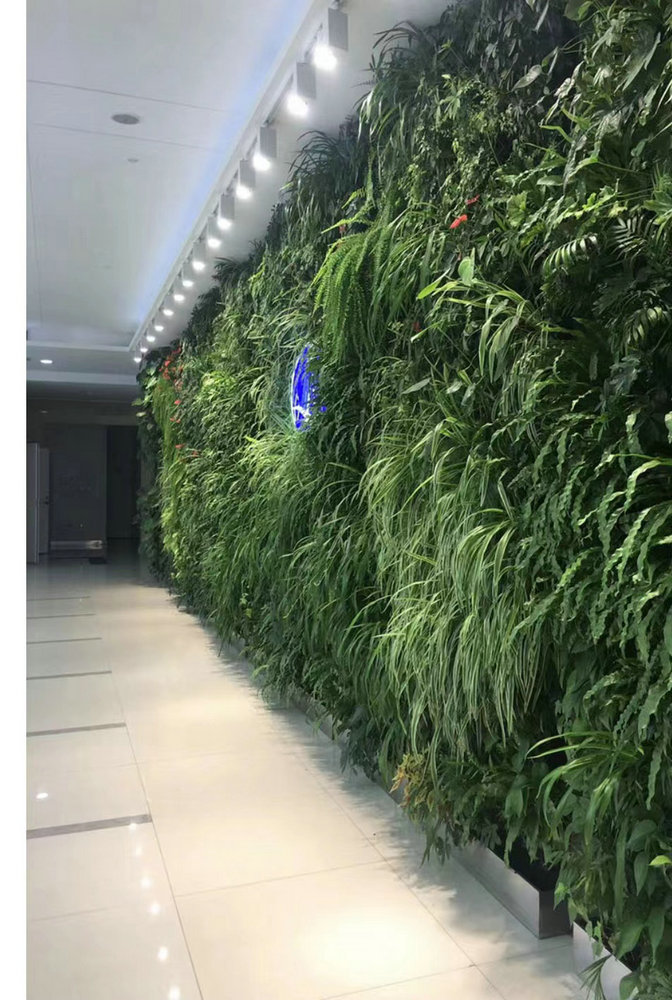 室内植物墙