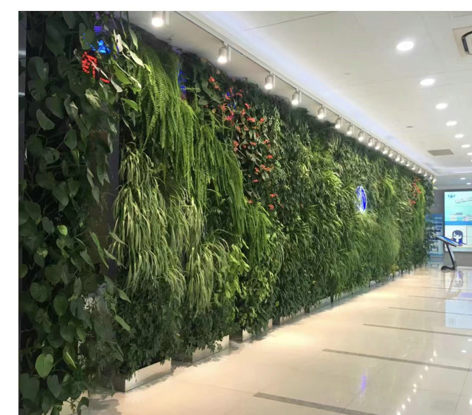 室内植物墙