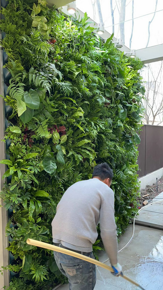 室外植物墙