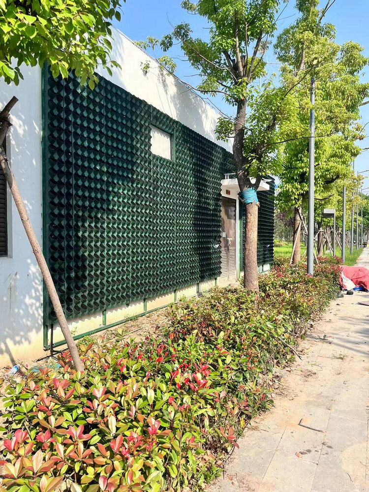 室外植物墙