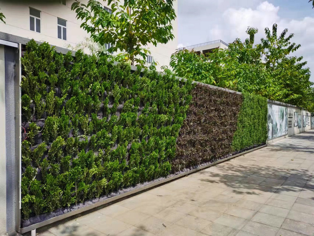 室外植物墙