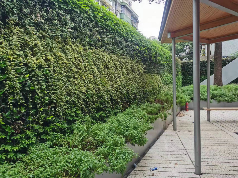 室外植物墙