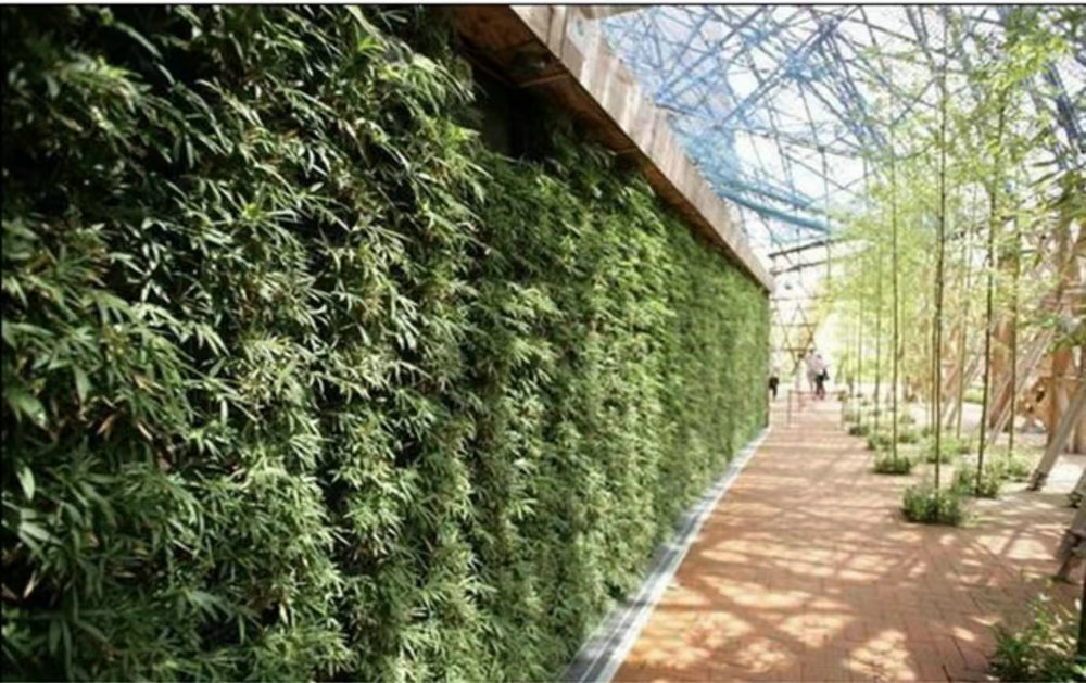 室外植物墙
