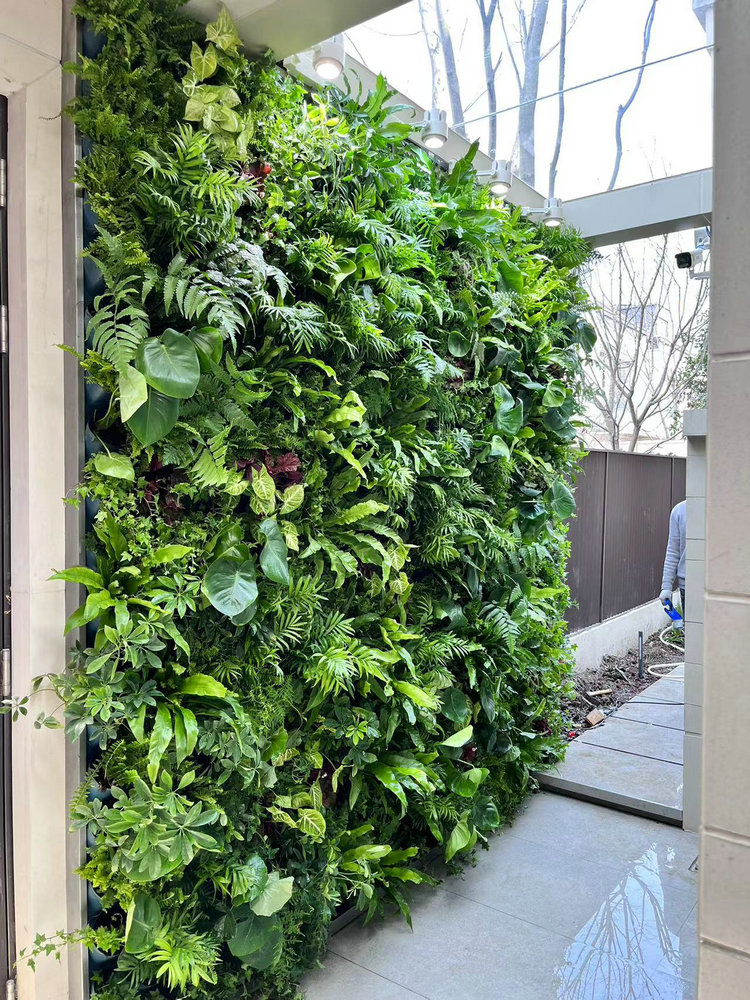 室外植物墙