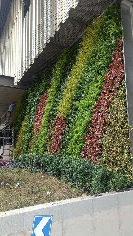 室外植物墙