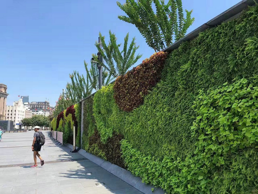 室外植物墙