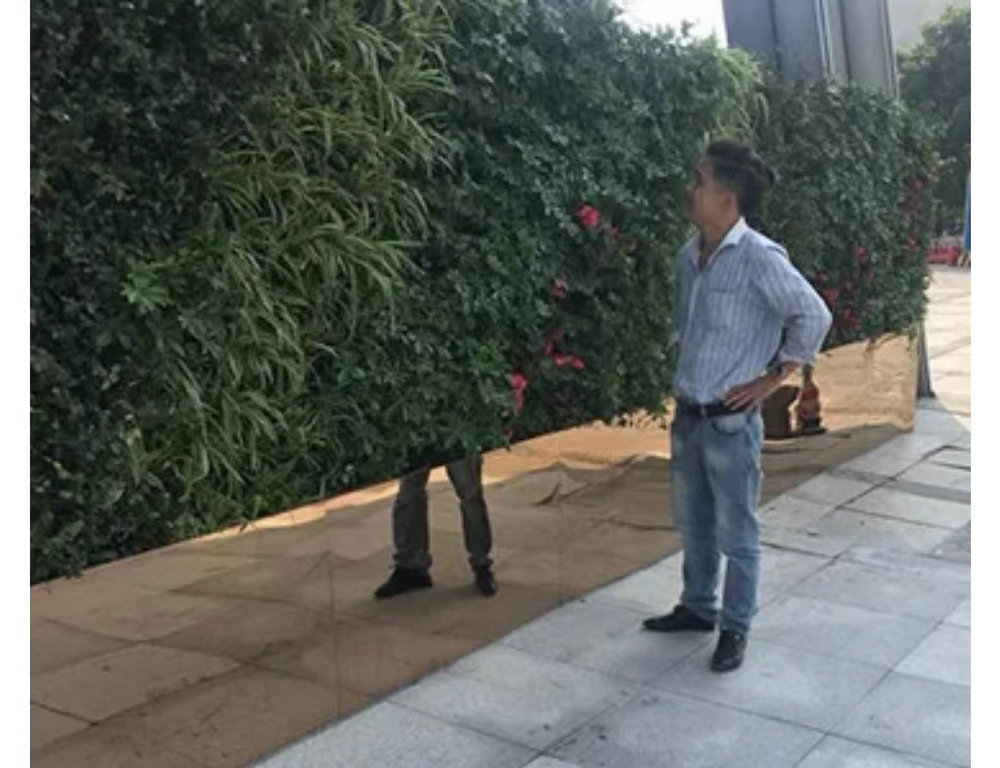 室外植物墙