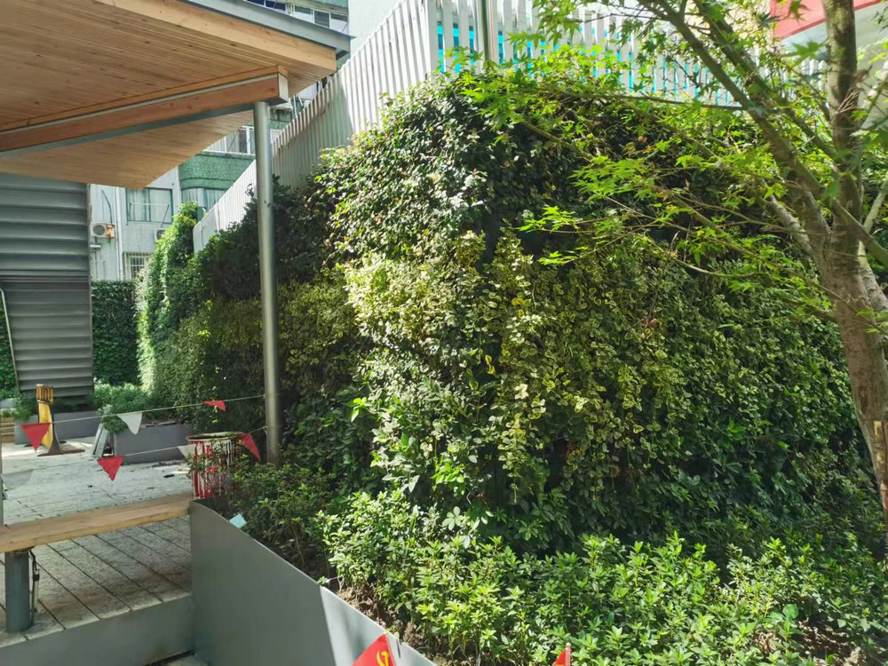 室外植物墙