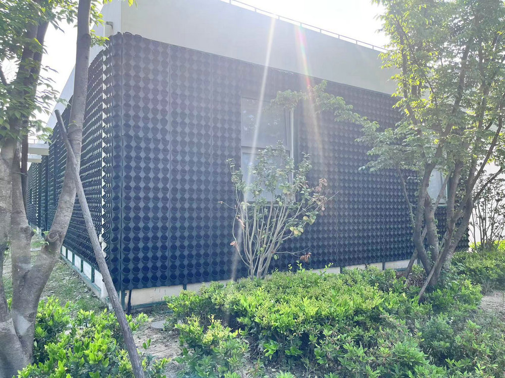 室外植物墙