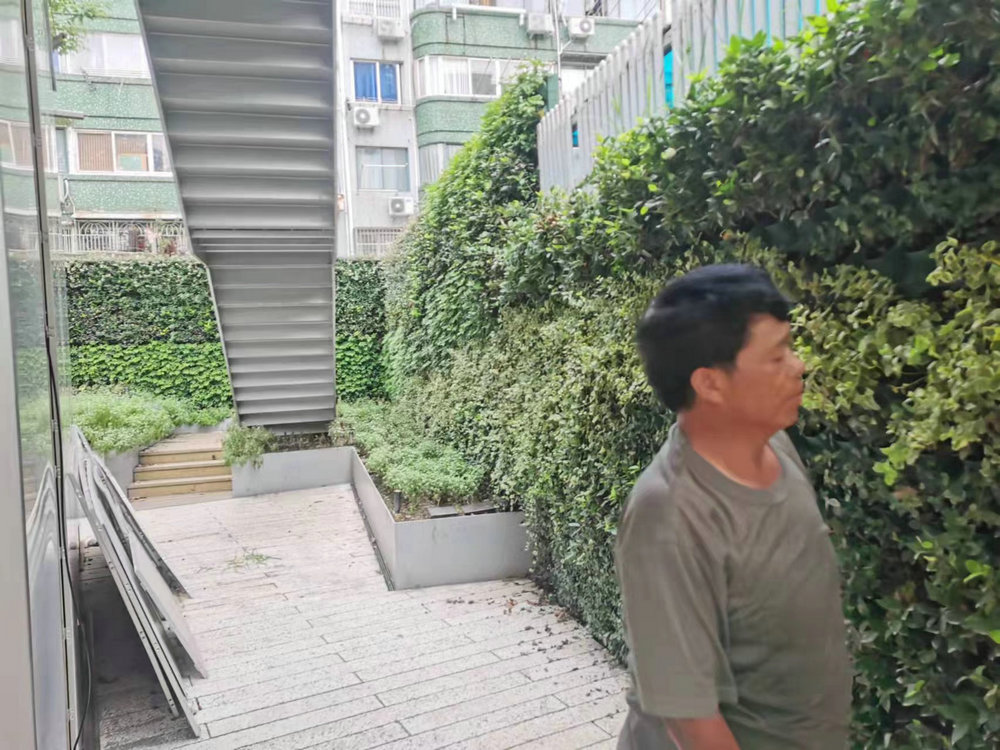 室外植物墙