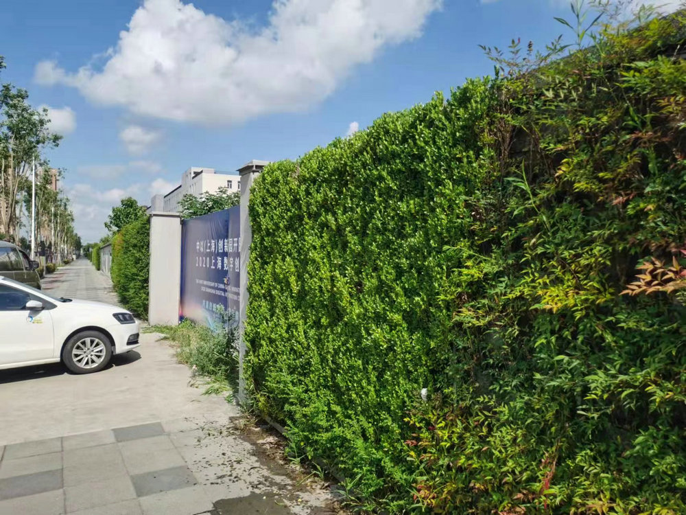 室外植物墙