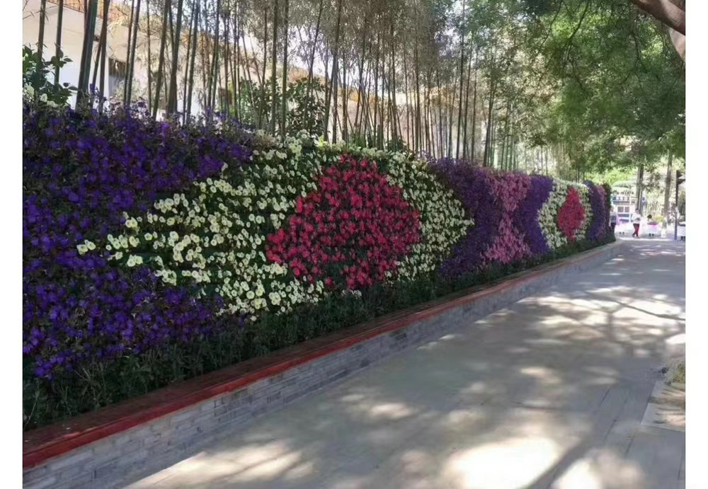 室外植物墙