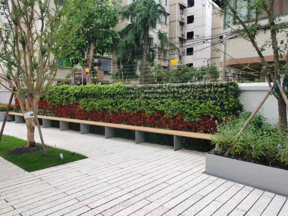 室外植物墙