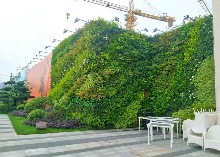 室外植物墙