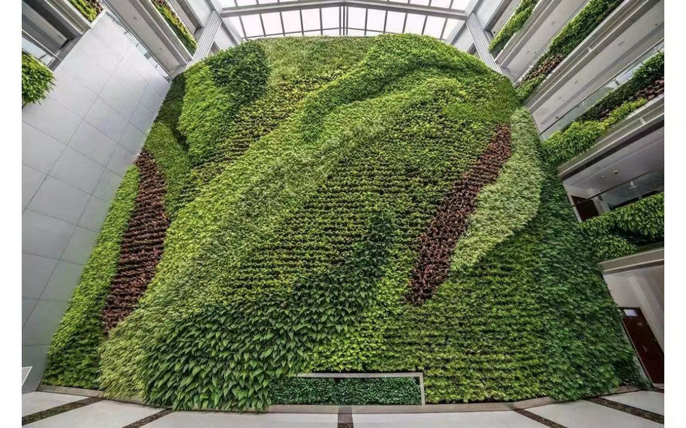 室外植物墙