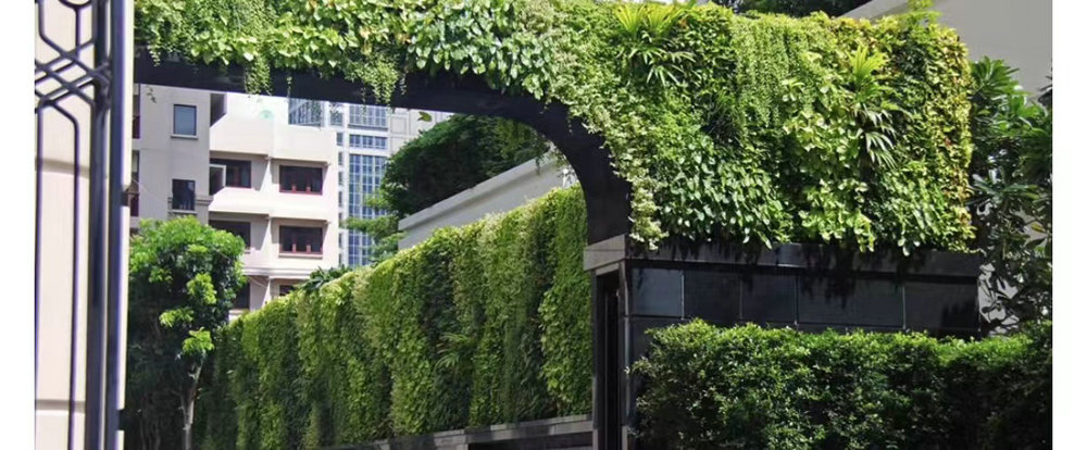 室外植物墙