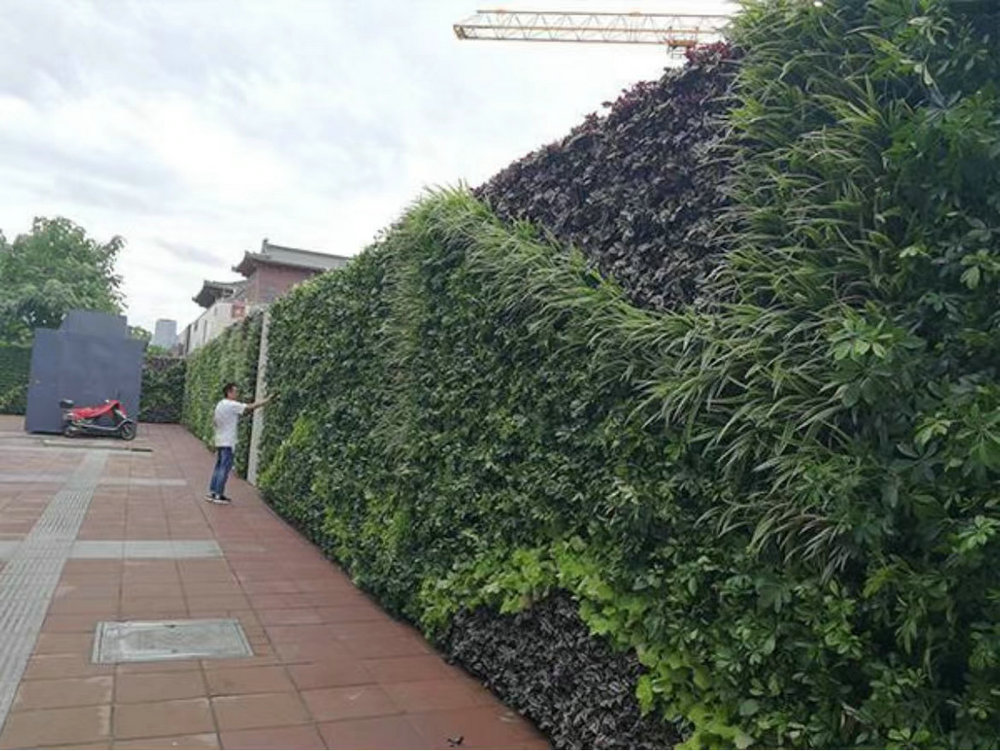 室外植物墙