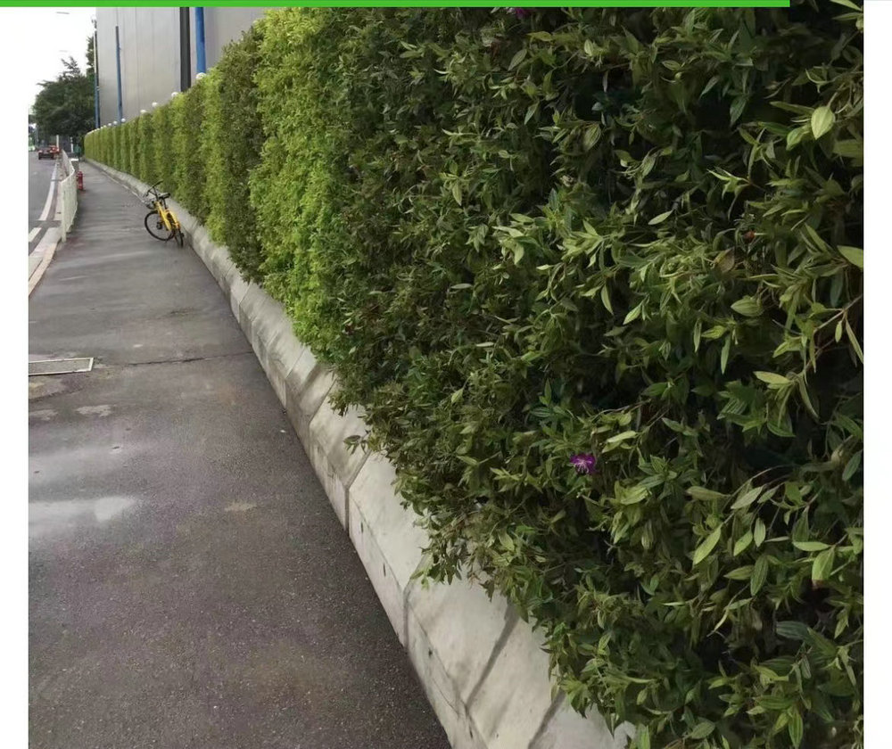 室外植物墙