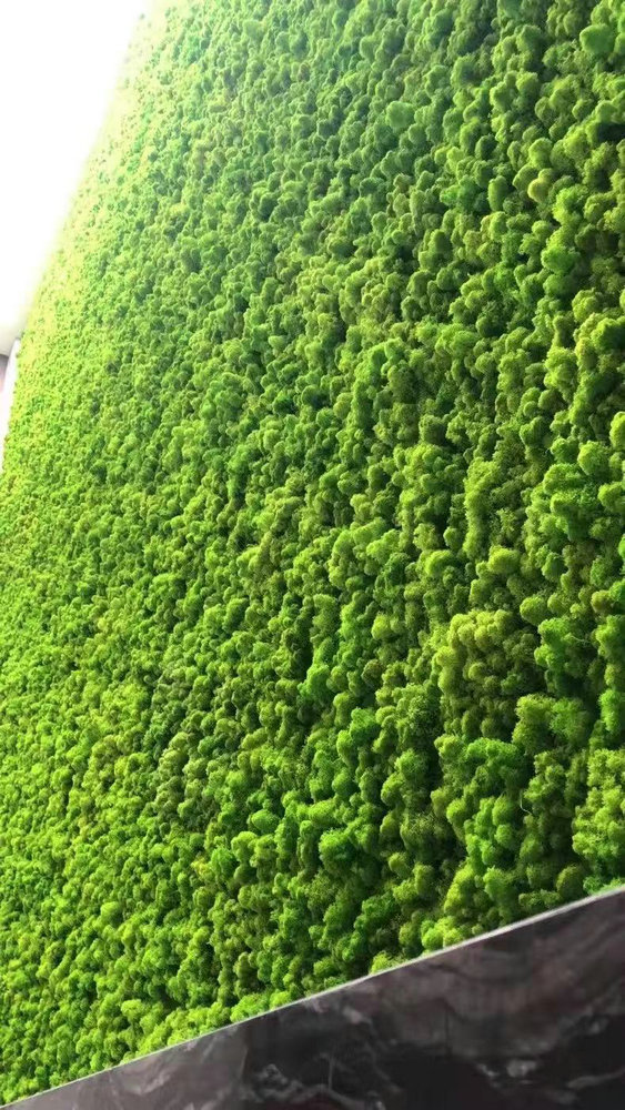 永生苔藓墙