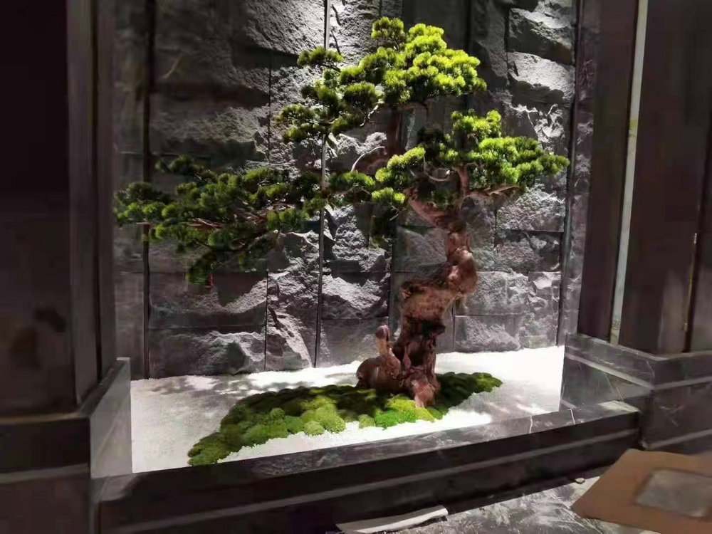植物景观造景
